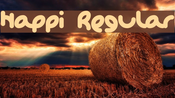 Happi Regular Font examples