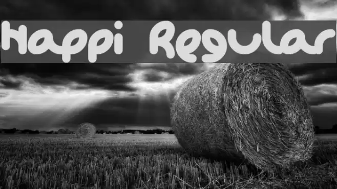 Happi Regular Polices examples