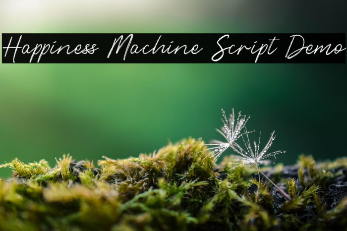 Happiness Machine Script Demo Example 3