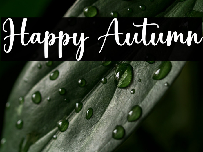 Happy Autumn Example 2