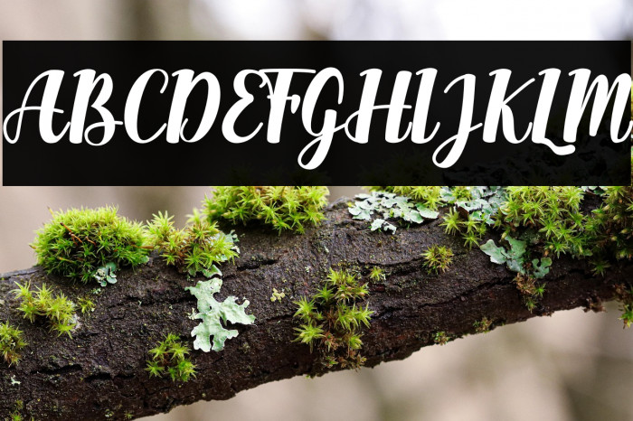 Happy Banana Example 3