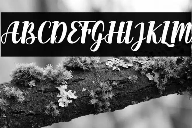 Happy Banana Font examples