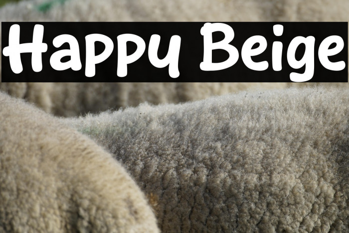 Happy Beige Example 3