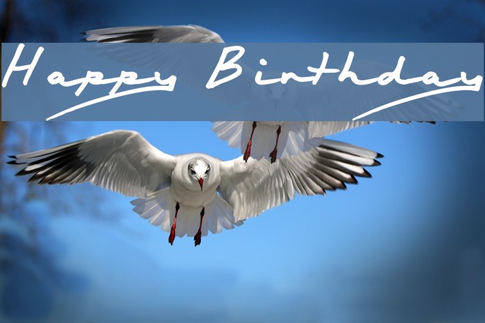 Happy Birthday Font examples