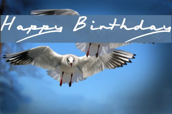 Happy Birthday Example 3