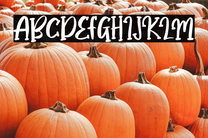 Happy Bright Example 1