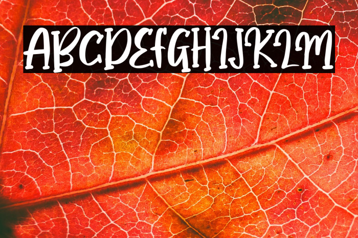 Happy Bright Example 2