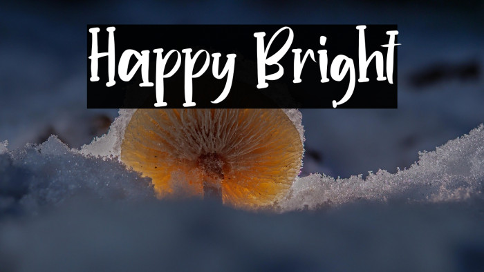 Happy Bright Example 2