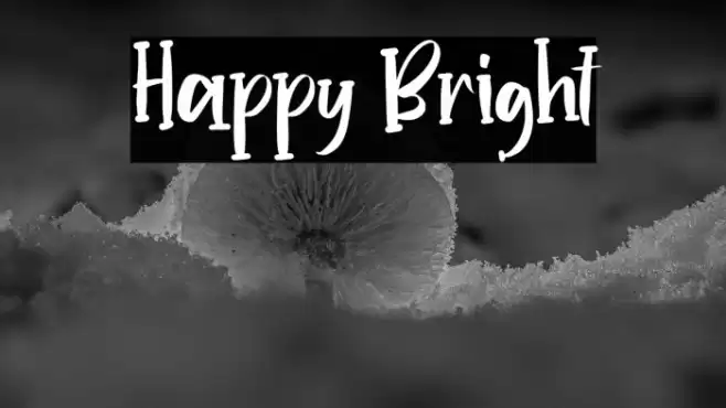 Happy Bright Font examples