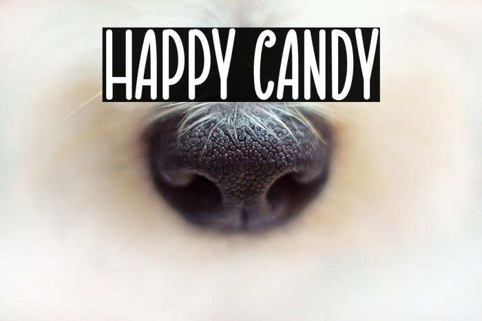 Happy Candy Example 1