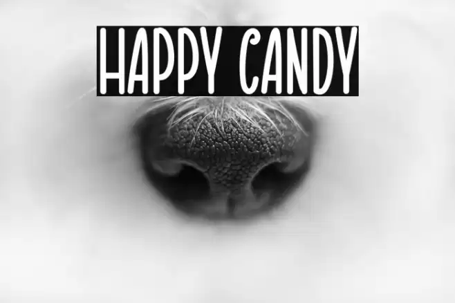 Happy Candy Font examples