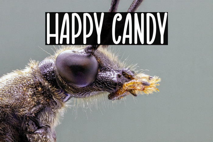Happy Candy Example 2