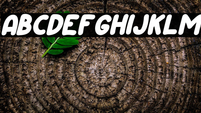 Happy Chicken Italic Example 2