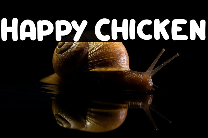 Happy Chicken Example 1