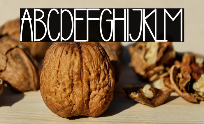 Happy Children - Personal Use Example 3