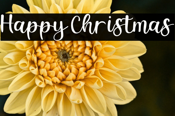 Happy Christmas Example 1