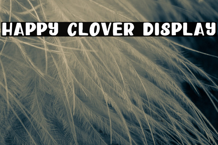 Happy Clover Display Font examples