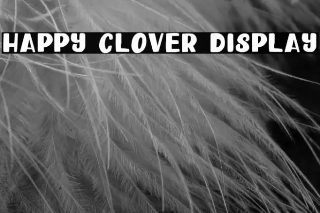 Happy Clover Display Font examples