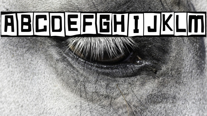 Happy Cube Example 2