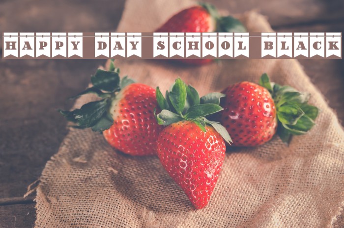 Happy Day School Black Example 1