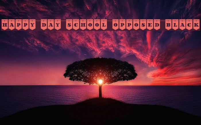 Happy Day School Opposed Black Font examples