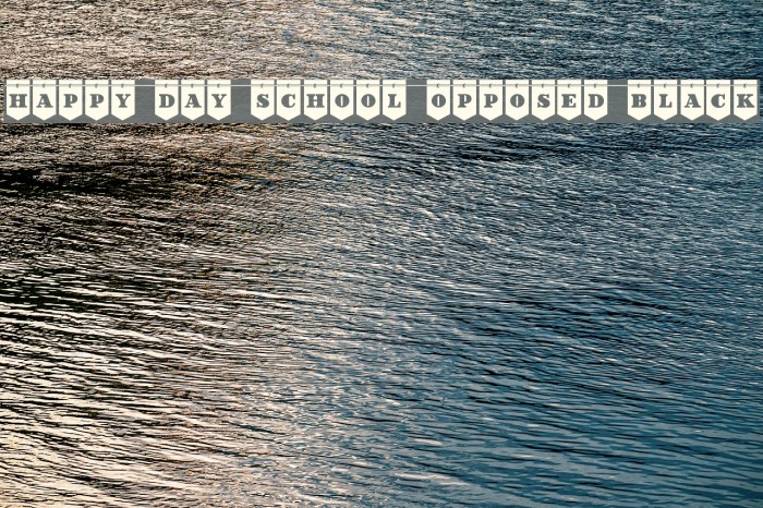 Happy Day School Opposed Black Font examples