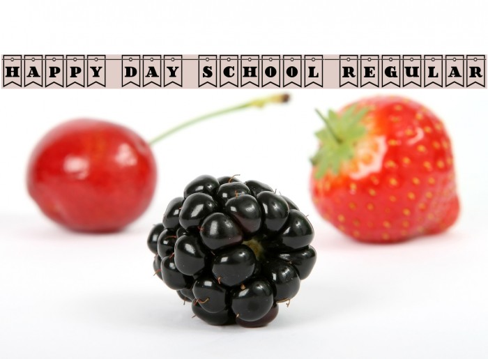 Happy Day School Regular Example 1