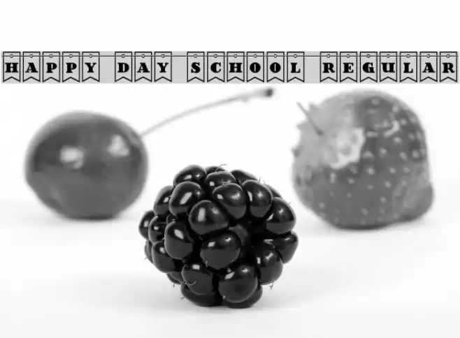 Happy Day School Regular Font examples