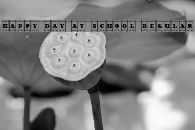 Happy Day at School Regular Font examples