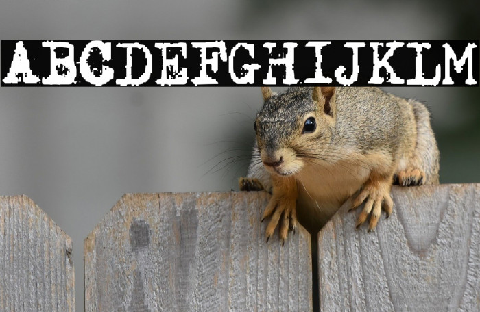 Happy Days Example 2