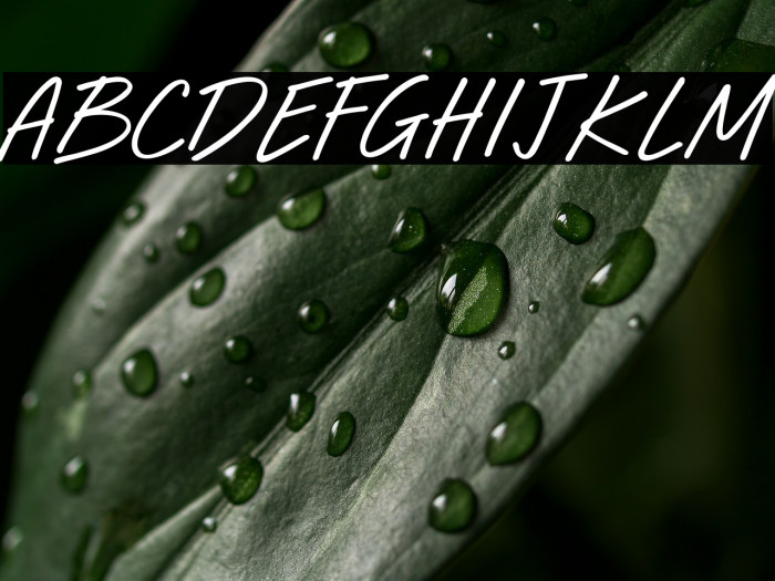 Happy Daze Example 1