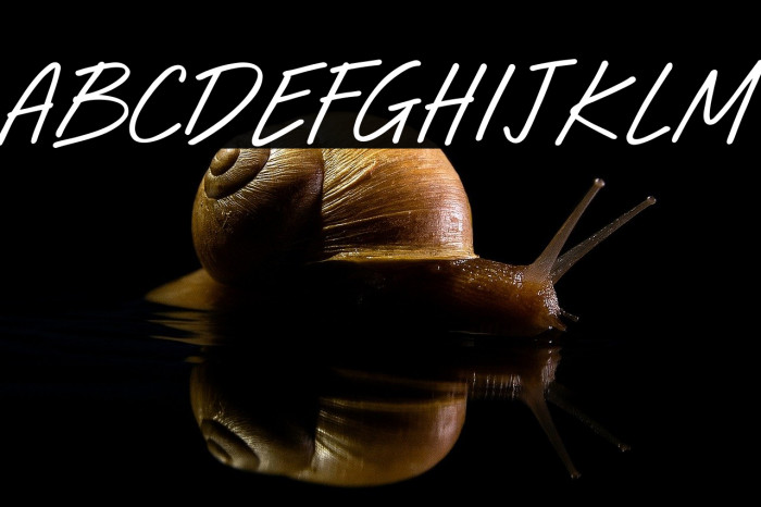 Happy Daze Example 2