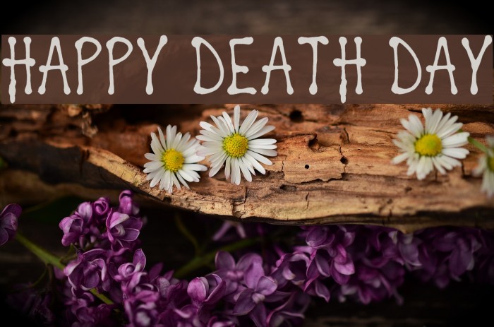 Happy Death Day Font examples