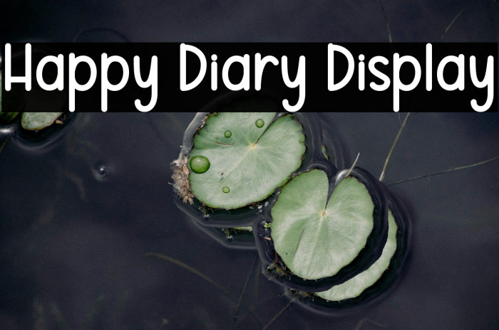 Happy Diary Display Example 2