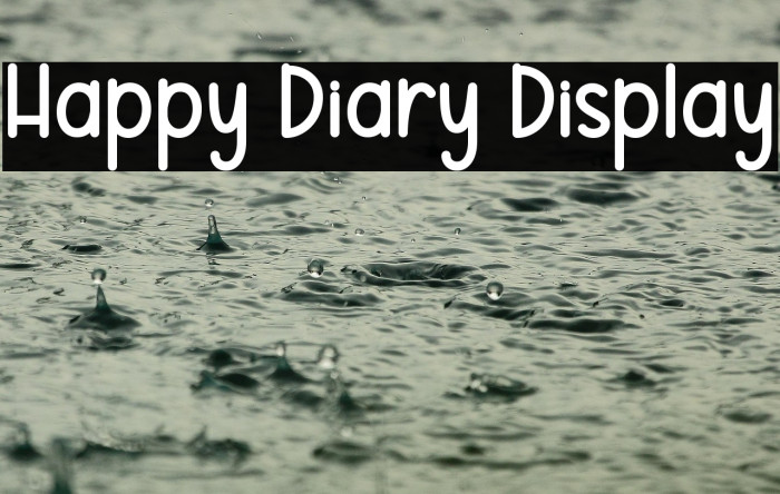 Happy Diary Display Example 3