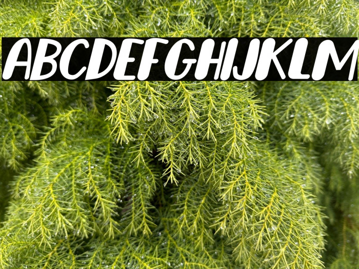 Happy Dogy Italic Example 1