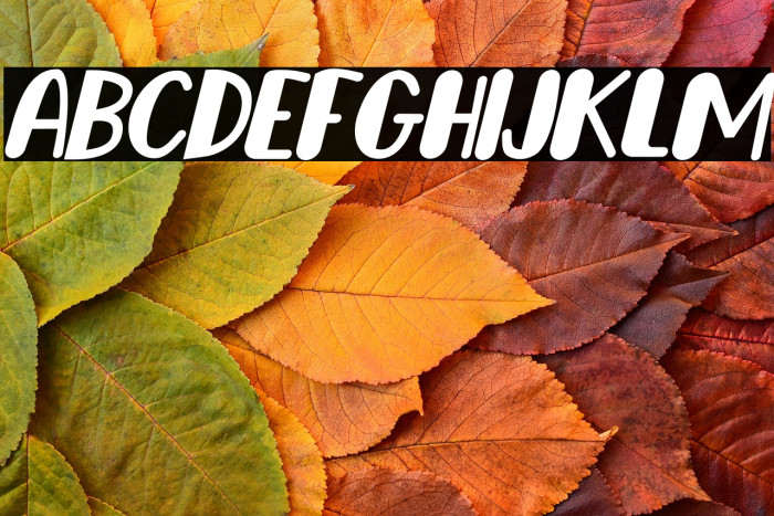 Happy Dogy Italic Example 2