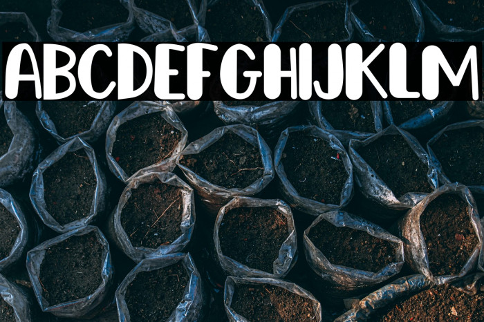 Happy Dogy Example 3