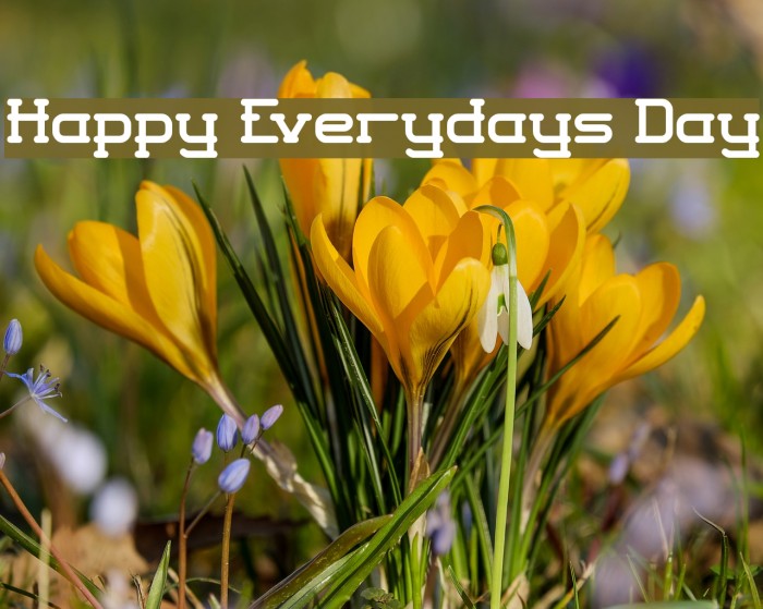 Happy Everydays Day Font examples