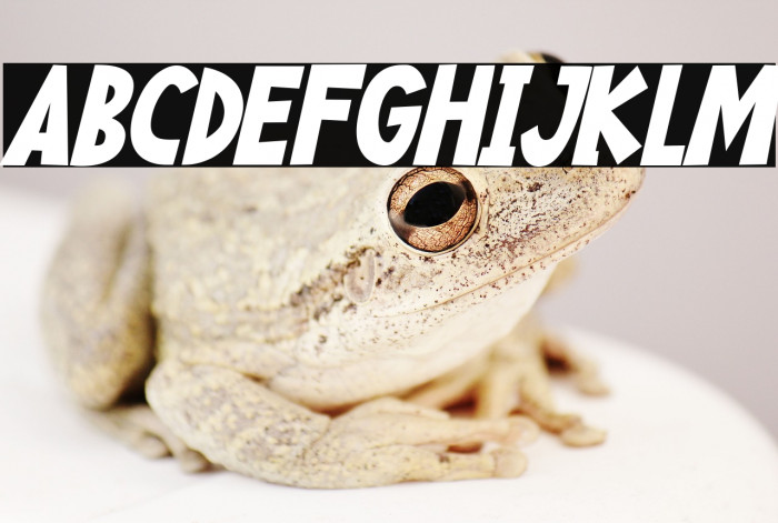 Happy Food Italic Example 2