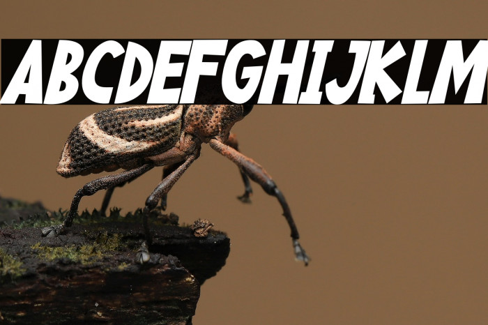 Happy Food Italic Example 2