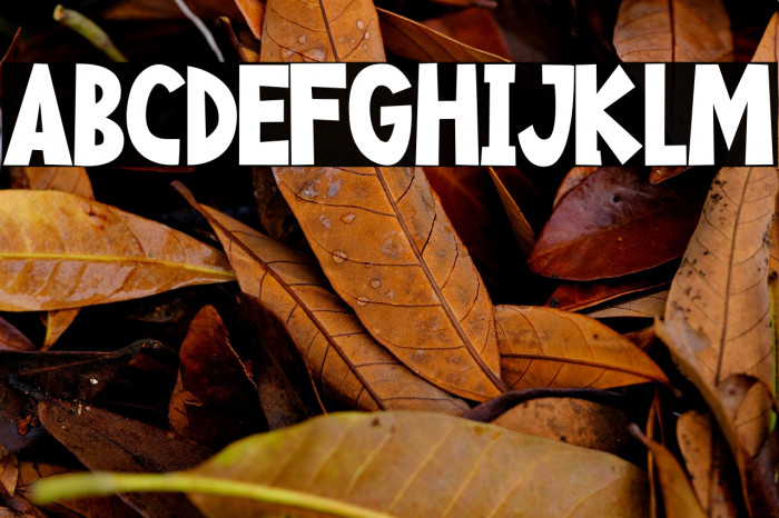 Happy Food Example 1