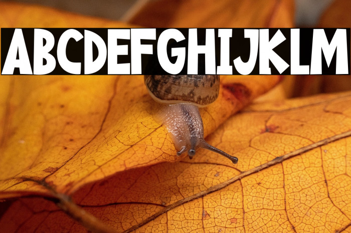 Happy Food Example 3