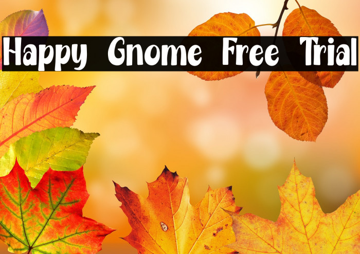 Happy Gnome Free Trial Example 3