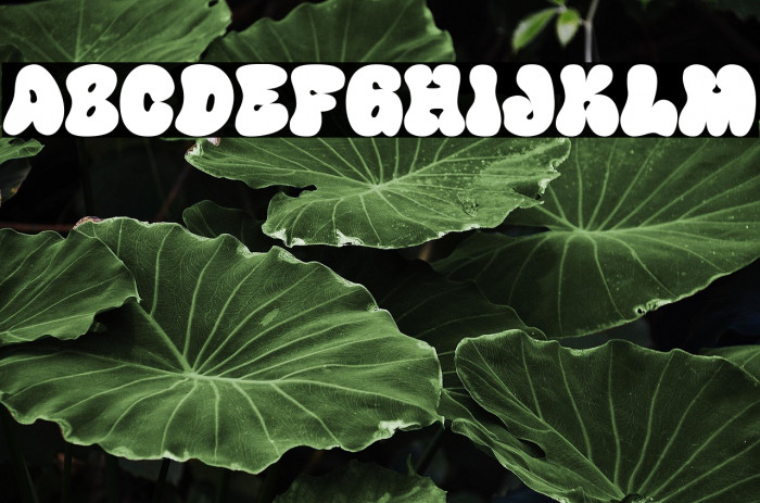 Happy Groov One Caratteri examples