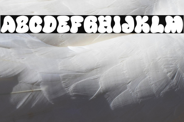 Happy Groov One Caratteri examples