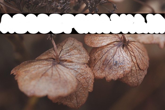 Happy Groov Three Font examples