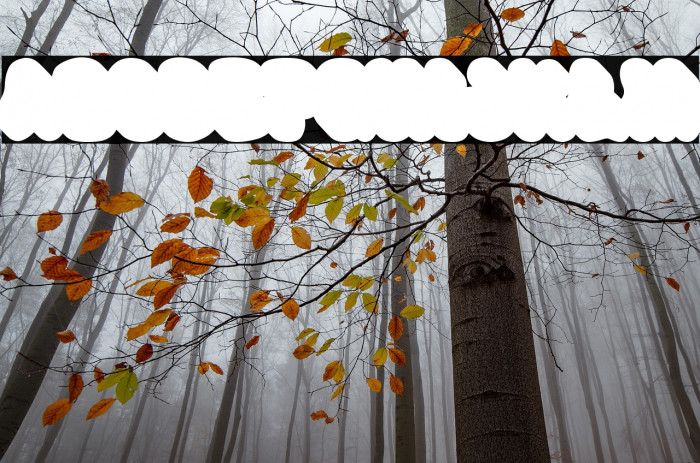 Happy Groov Three Font examples