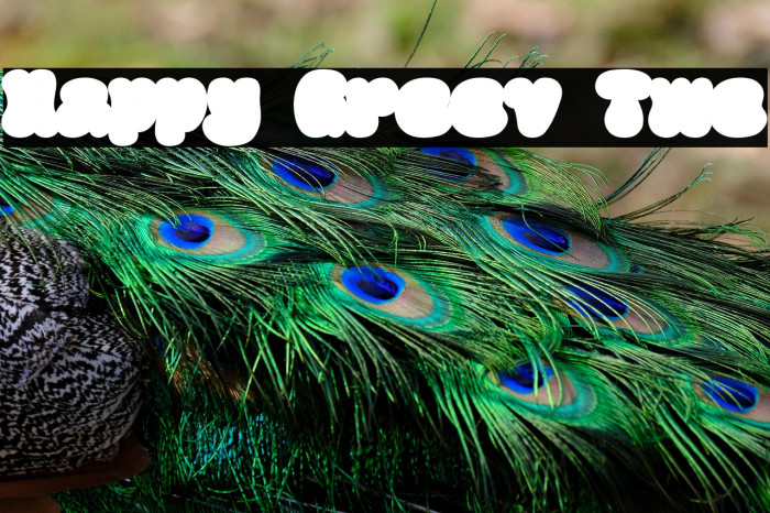 Happy Groov Two Caratteri examples