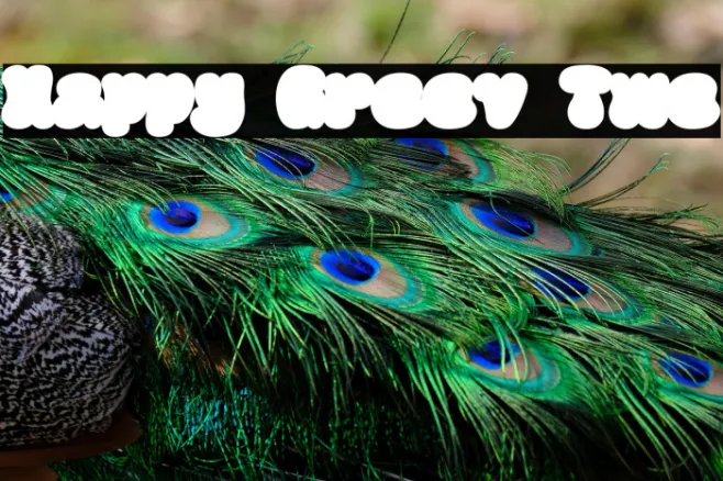 Happy Groov Two Example 1